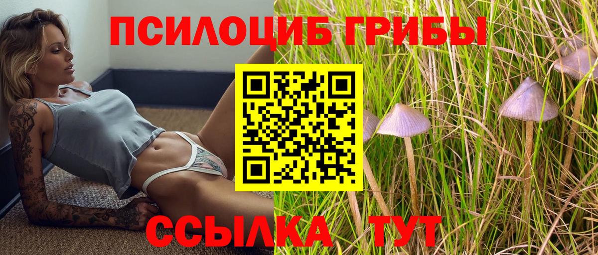 Галлюциногенные грибы GOLDEN TEACHER Коломна