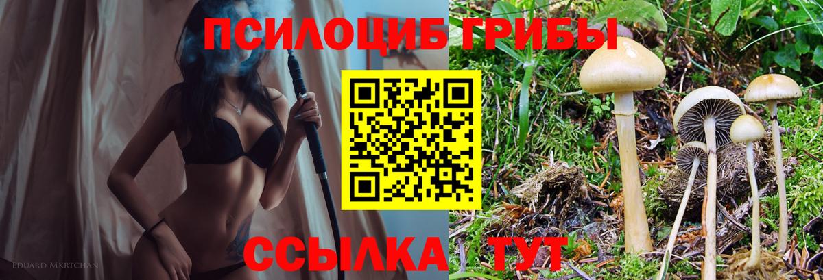 Галлюциногенные грибы ЛСД  Вход с VPN  Коломна  Псилоцибиновые грибы MAGIC MUSHROOMS 